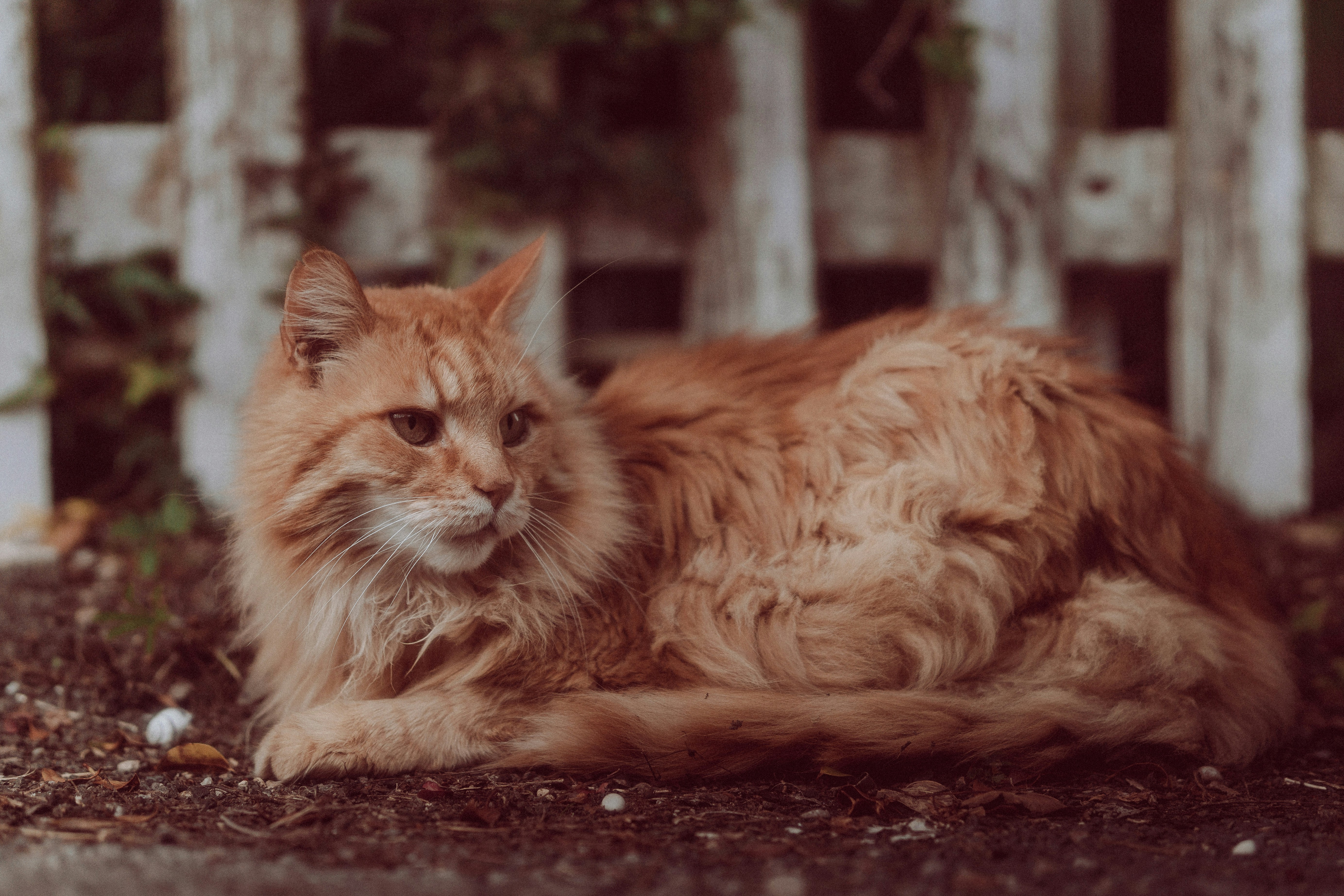 Photo by clesulie