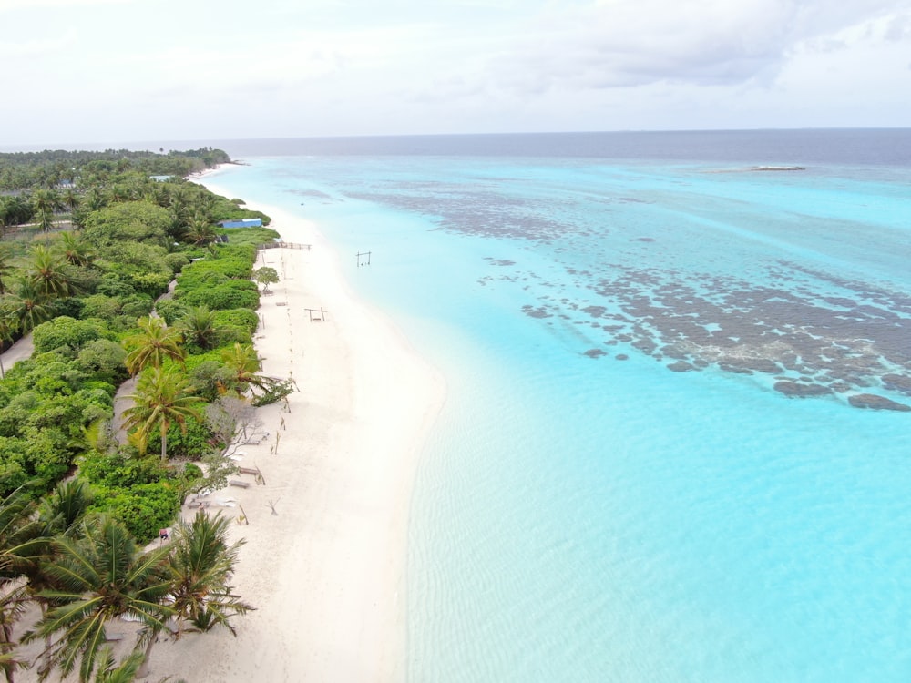 an aerial view of a tropical beach and lagoon