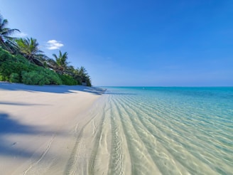 A serene beach with turquoise waters and white sand.