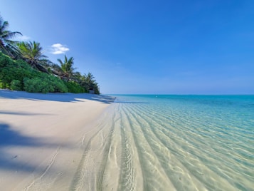 A serene and picturesque tropical beach with clear turquoise waters gently lapping onto white sandy shores. Lush green palm trees and vegetation line the beach, providing a vibrant contrast against the bright blue sky.