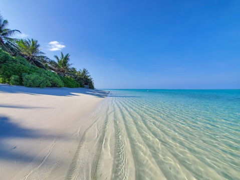 A serene and picturesque tropical beach with clear turquoise waters gently lapping onto white sandy shores. Lush green palm trees and vegetation line the beach, providing a vibrant contrast against the bright blue sky.