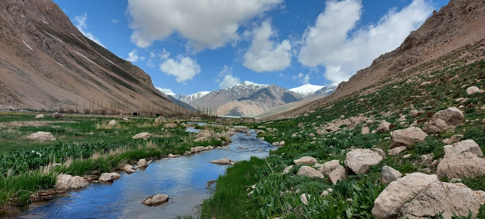 a river running through a lush green valley