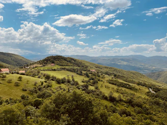 a lush green hillside covered in lots of trees Kosovo