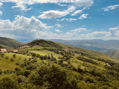 a lush green hillside covered in lots of trees Kosovo