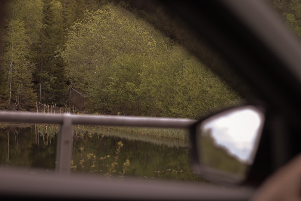 a car's side view mirror reflecting a wooded area