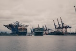 Large cargo ships are docked at a shipping port, with numerous cranes towering over the ships. The sky is overcast, giving the scene a muted, industrial appearance. Containers of various colors are stacked on the ships, indicating active trade and logistics operations.