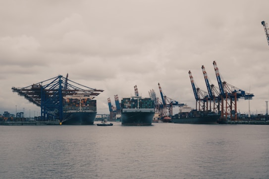 Large cargo ships are docked at a shipping port, with numerous cranes towering over the ships. The sky is overcast, giving the scene a muted, industrial appearance. Containers of various colors are stacked on the ships, indicating active trade and logistics operations.