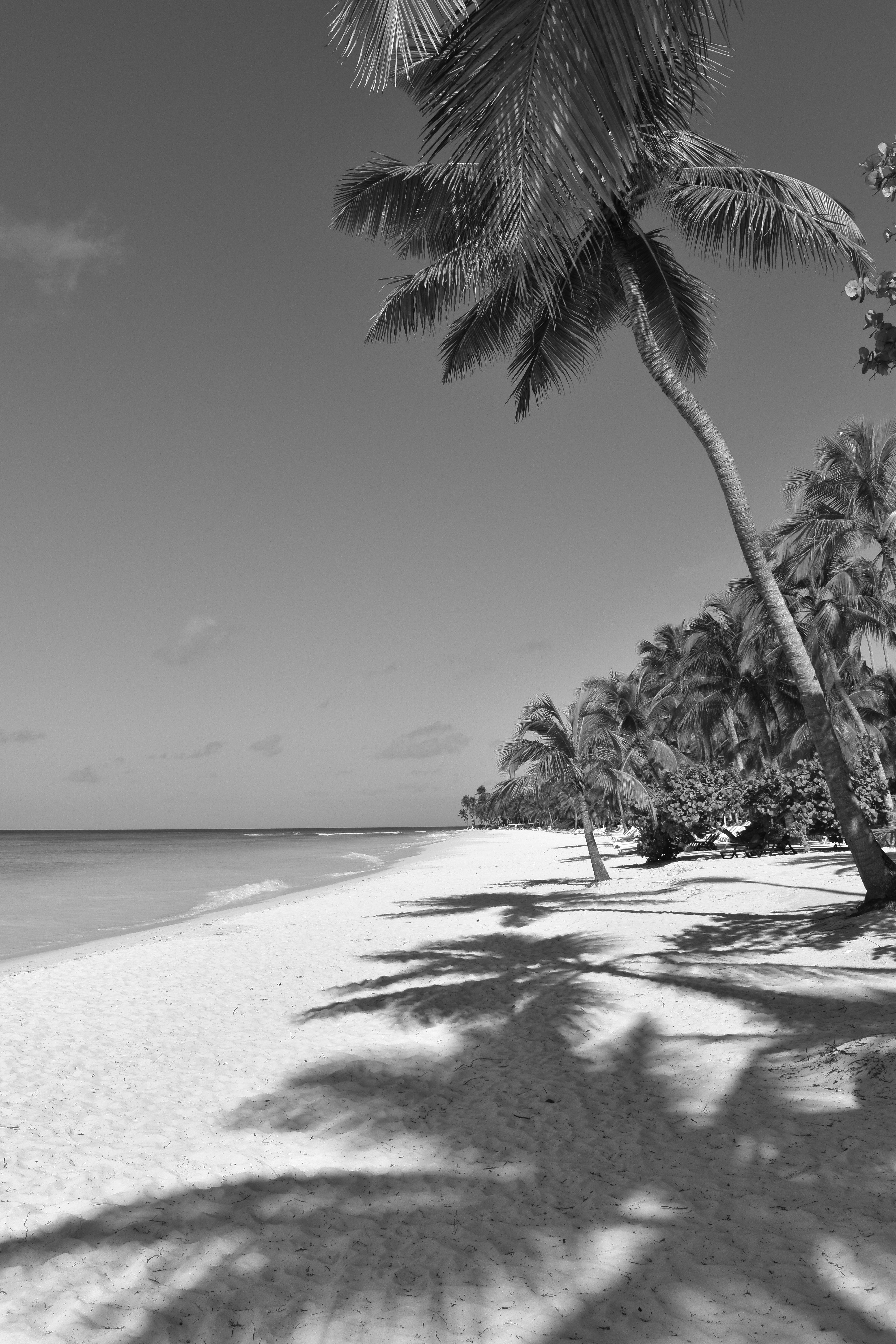 Photo by michaelsv