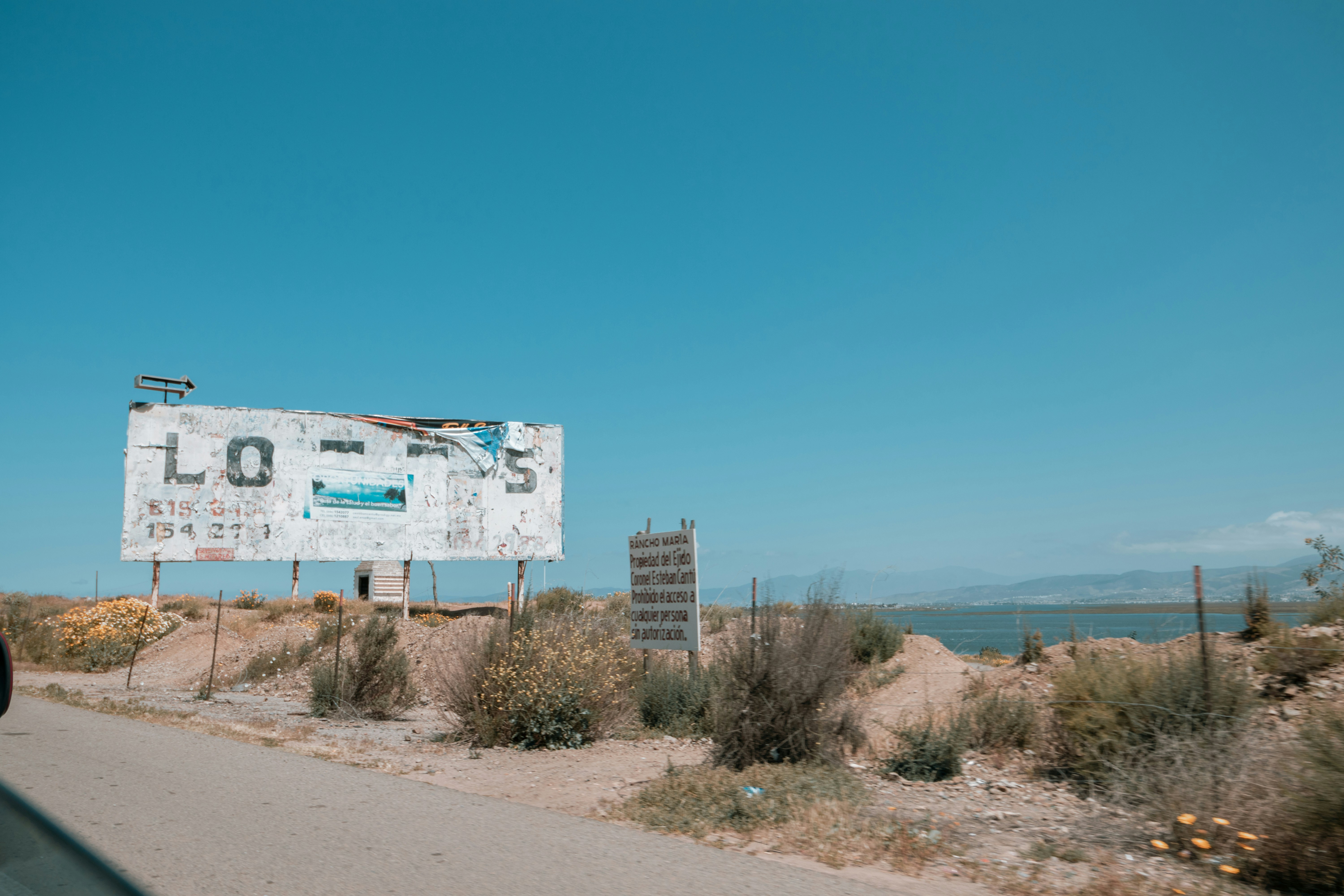 Photo by livingcolortj