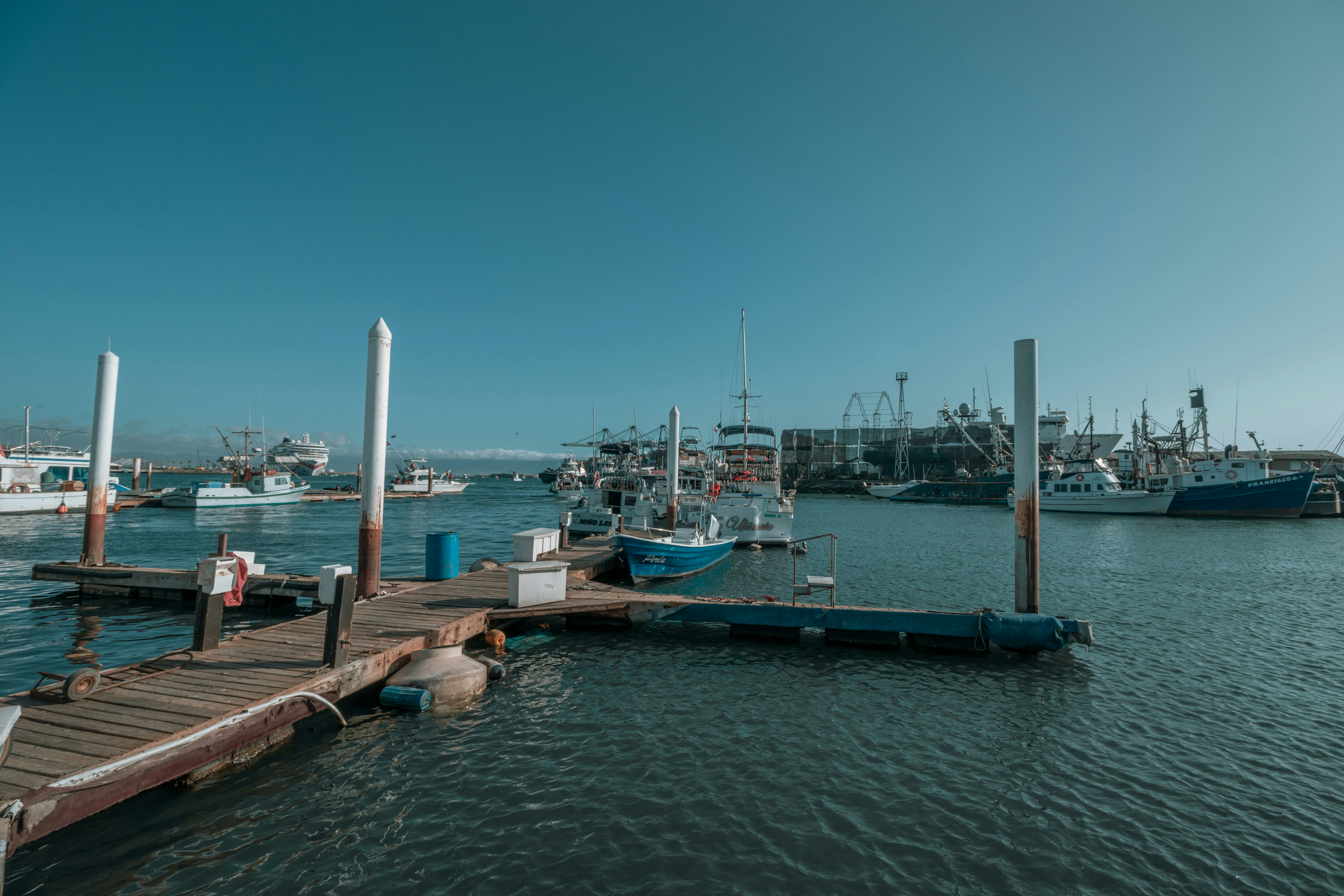 Photo by livingcolortj