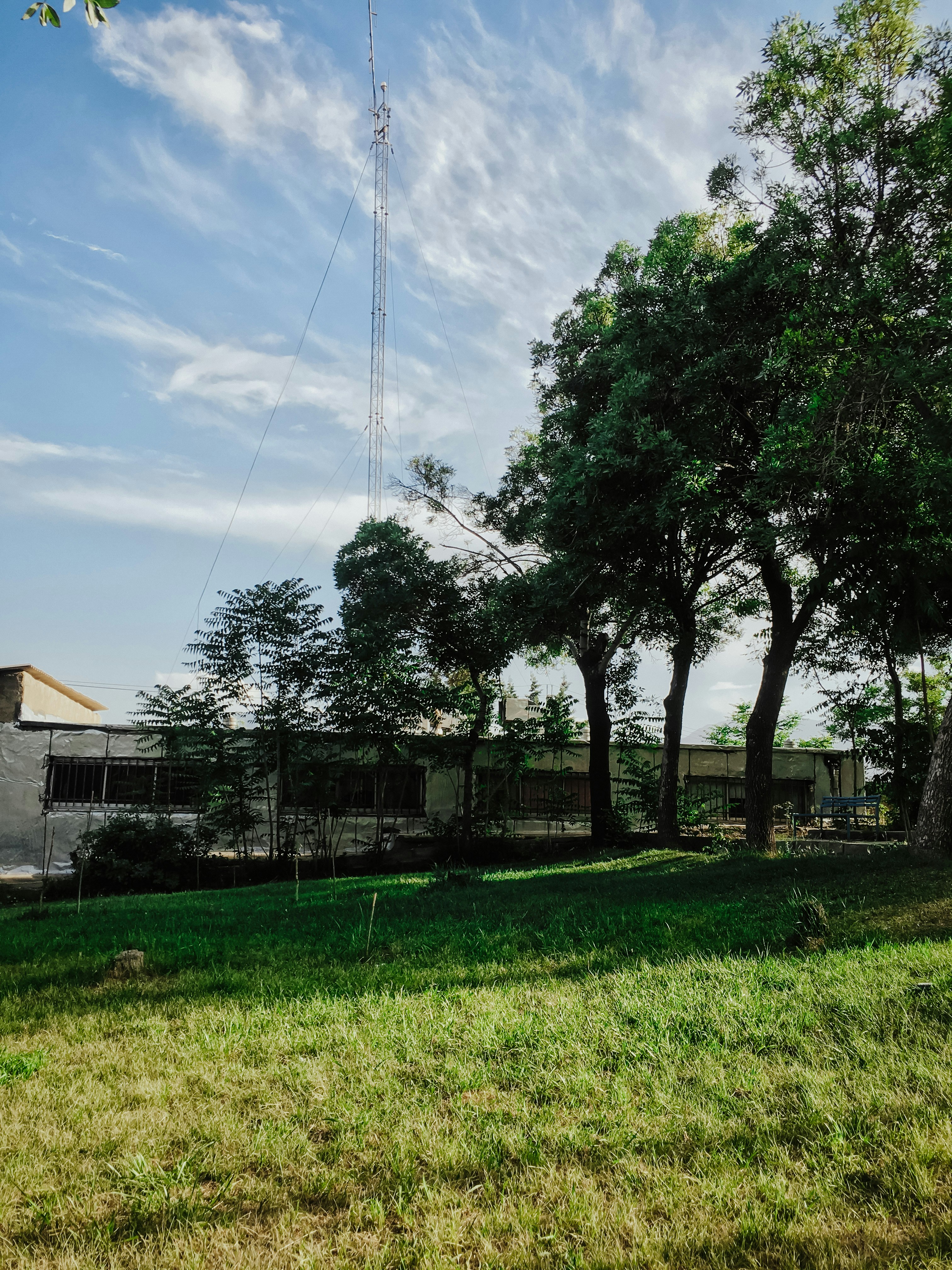 Photo by ihonarrmand