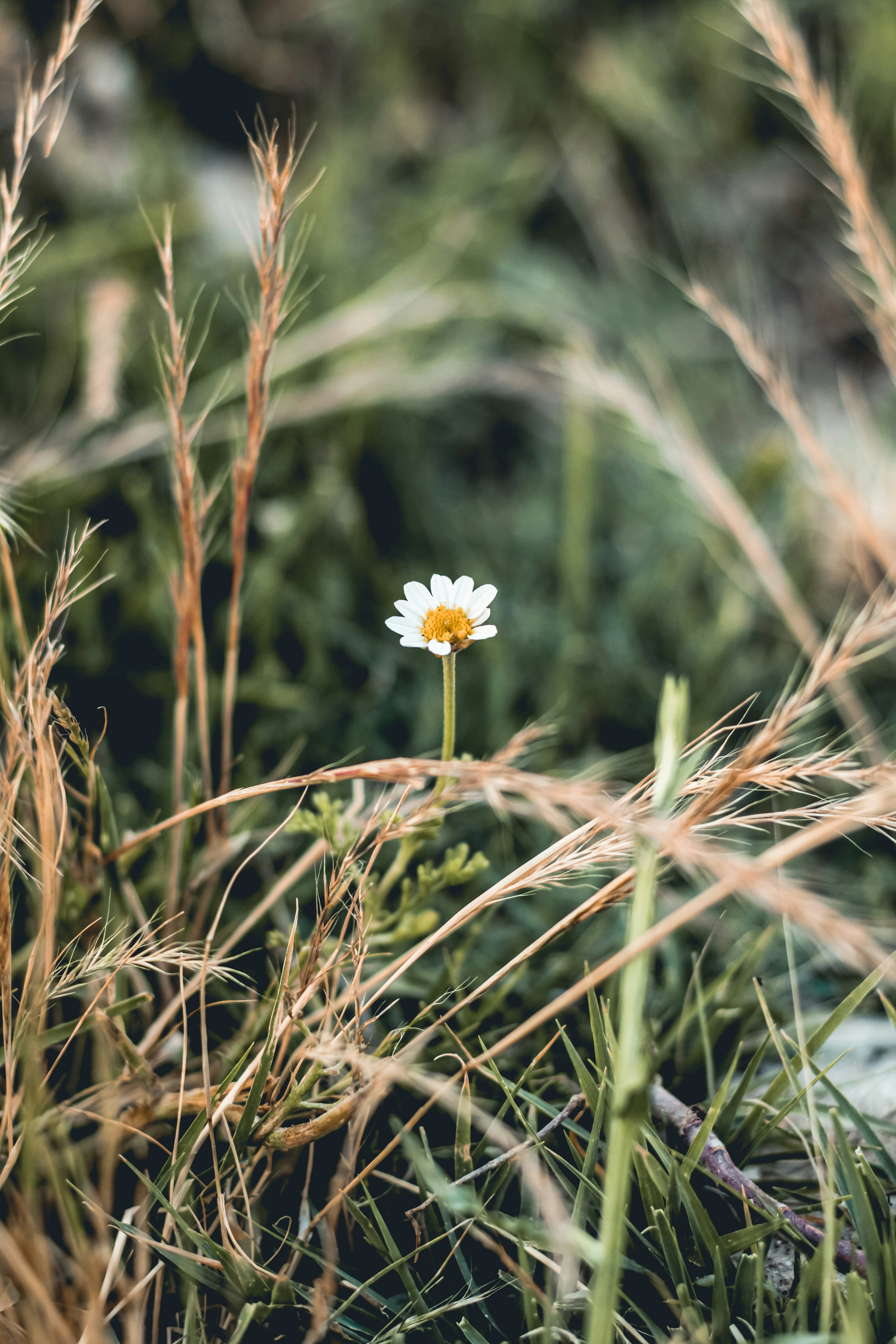 Photo by ihonarrmand