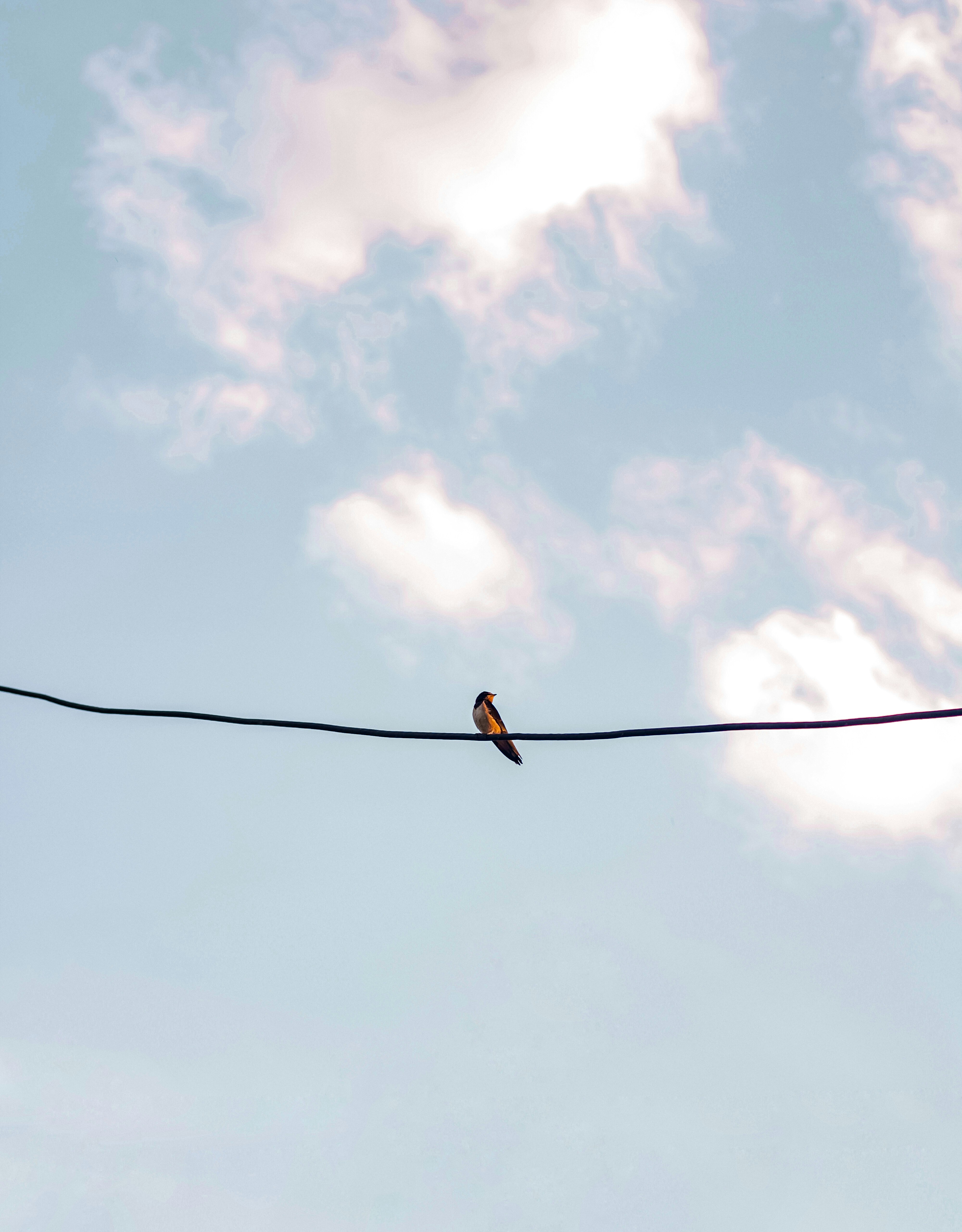 Photo by ihonarrmand