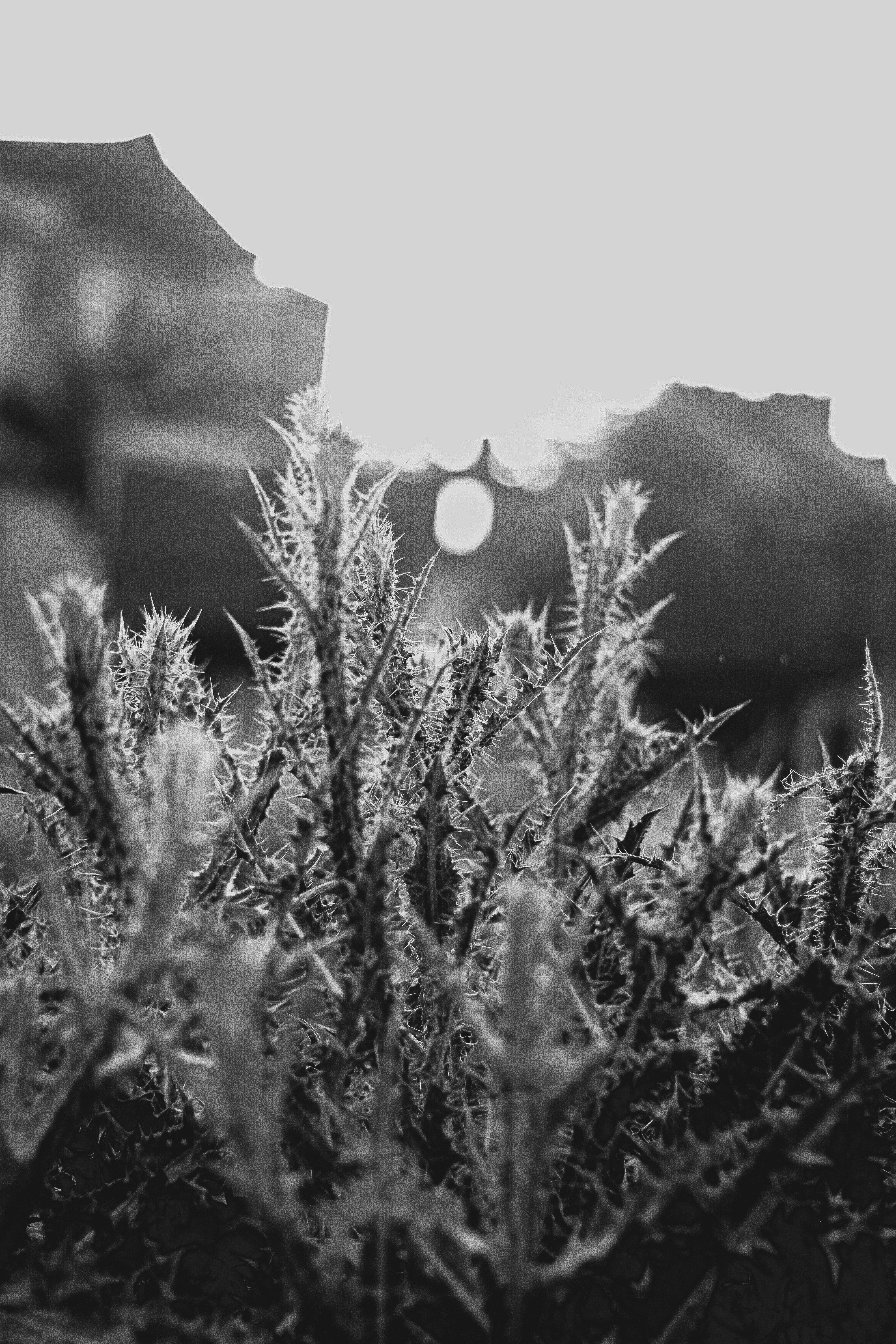 Photo by ihonarrmand