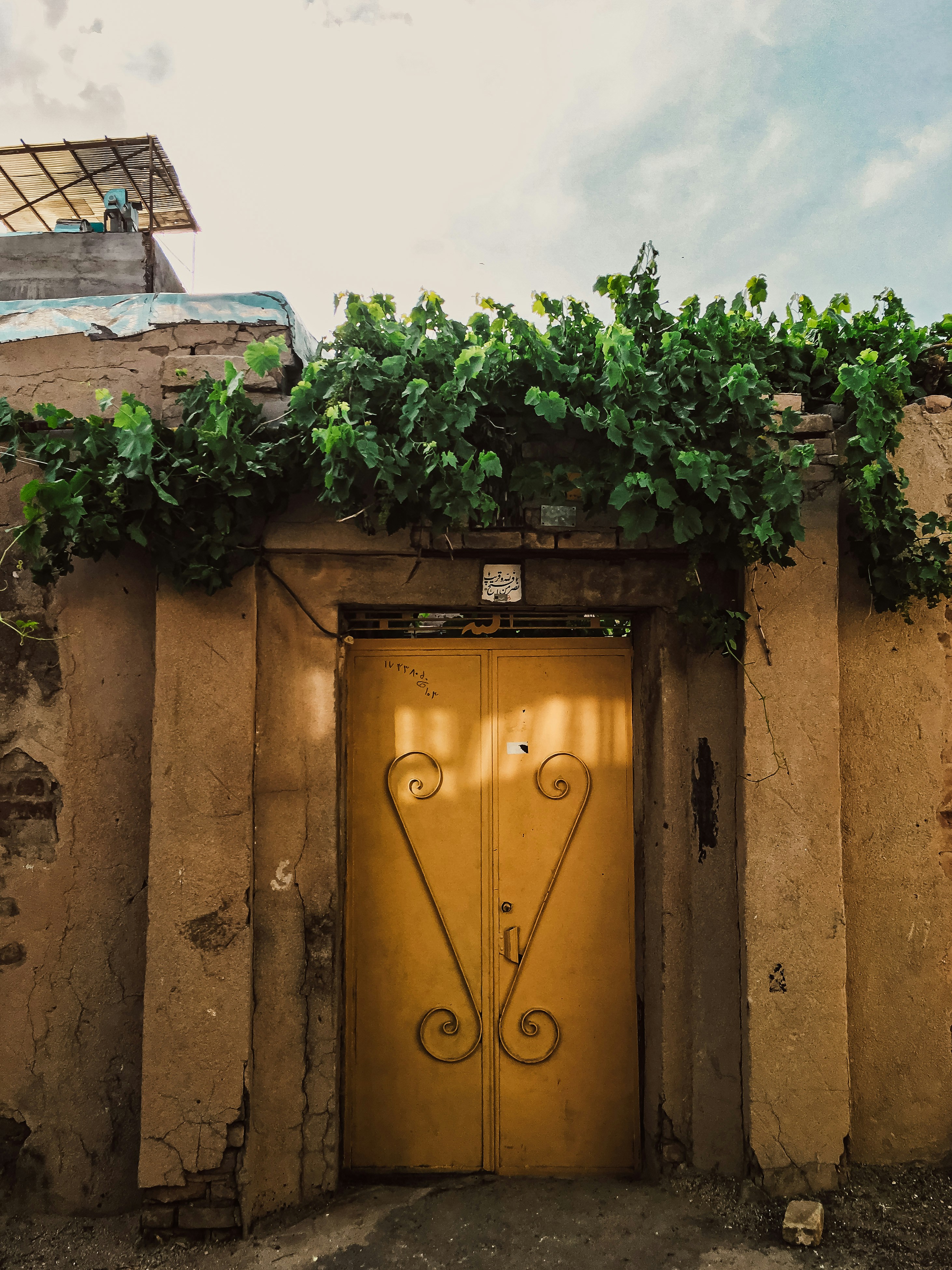 a yellow door with vines growing over it