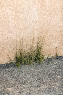 Car Park Weed Control Cardiff