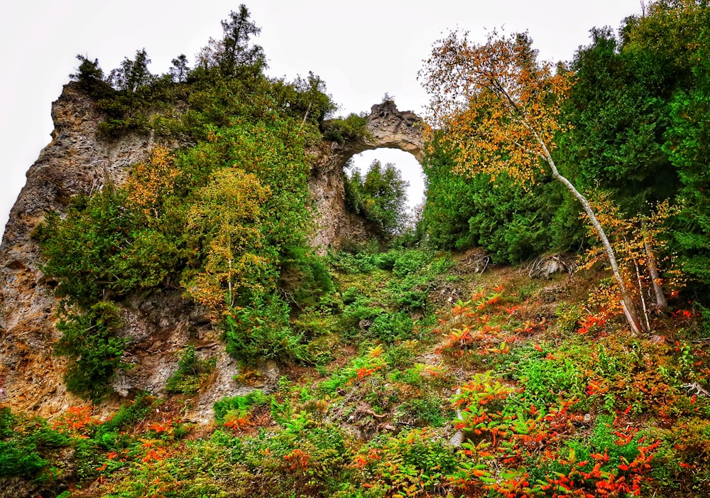 an old stone arch in the middle of a forest