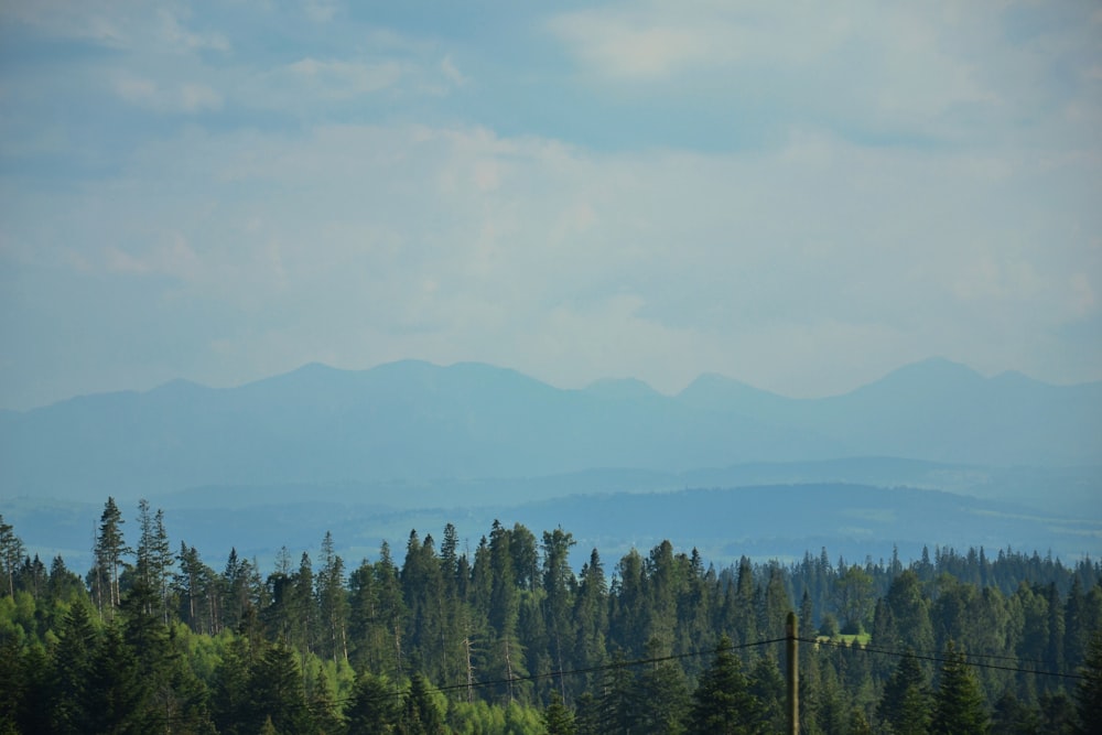 a view of a mountain range with trees in the foreground