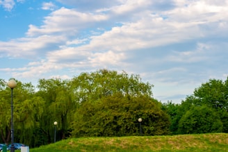 A lush green park landscape with dense trees and grass. Several lampposts are visible, and the sky is partly cloudy, with blue and white patches.
