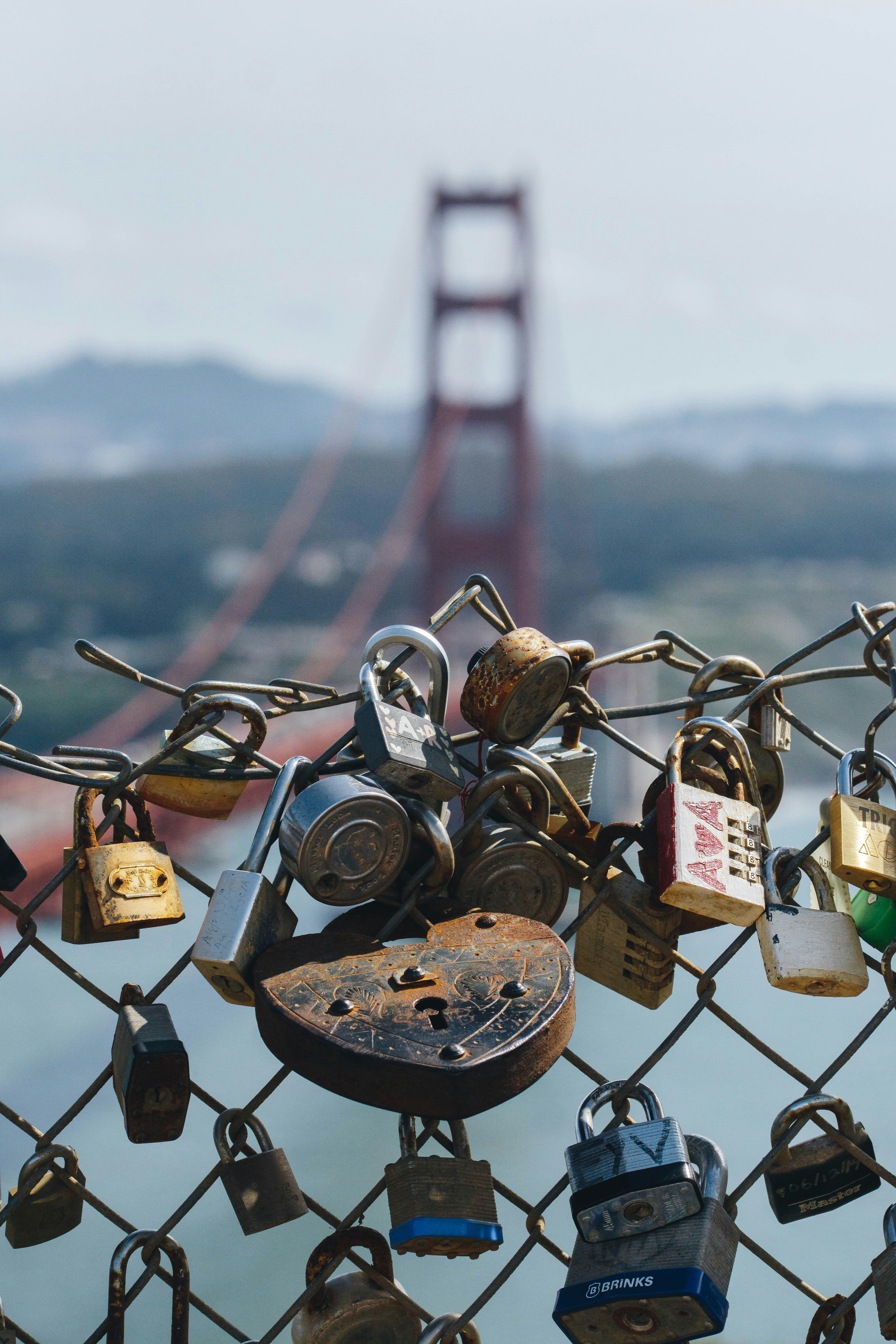 Photo by m_breedlove