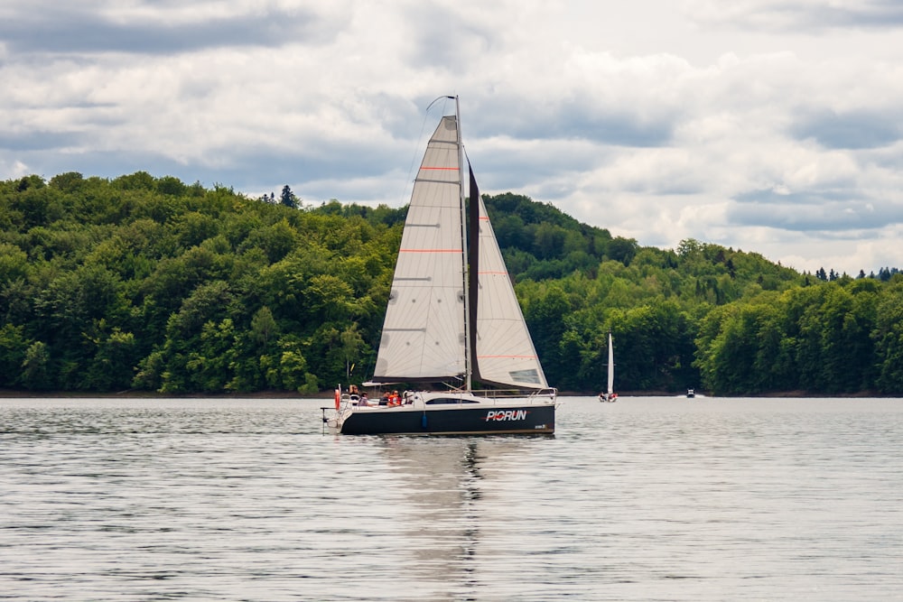 a sailboat on a lake with trees in the background