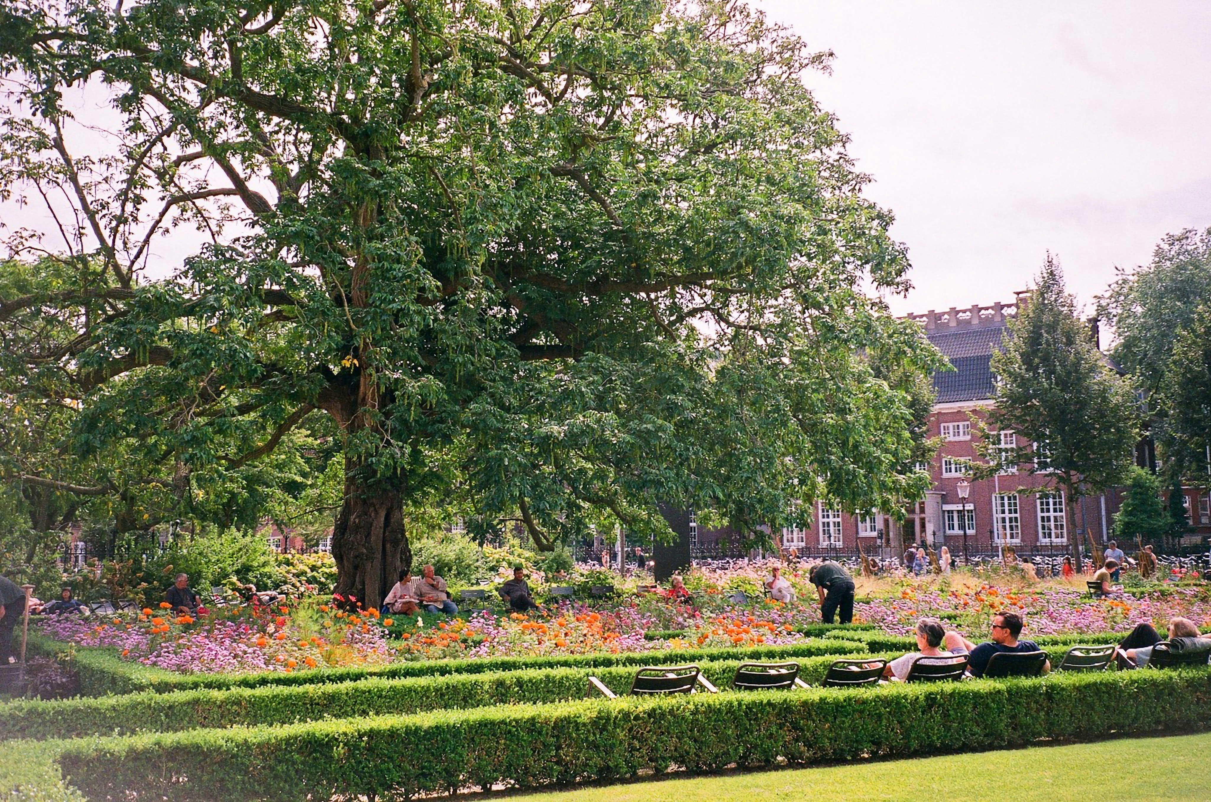 a group of people sitting on top of a lush green field