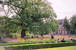 a group of people sitting on top of a lush green field
