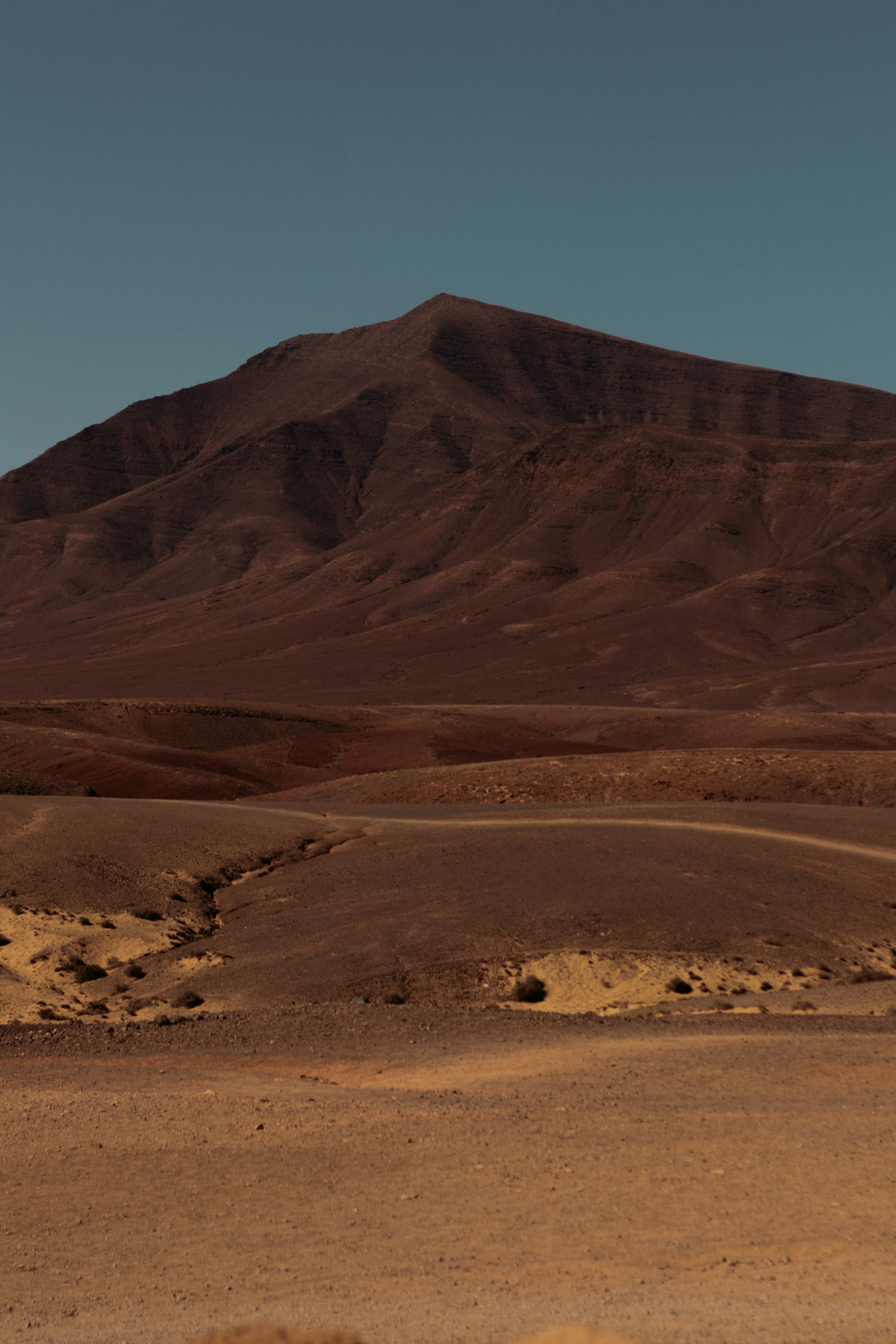 um cavalo solitário de pé no meio de um deserto