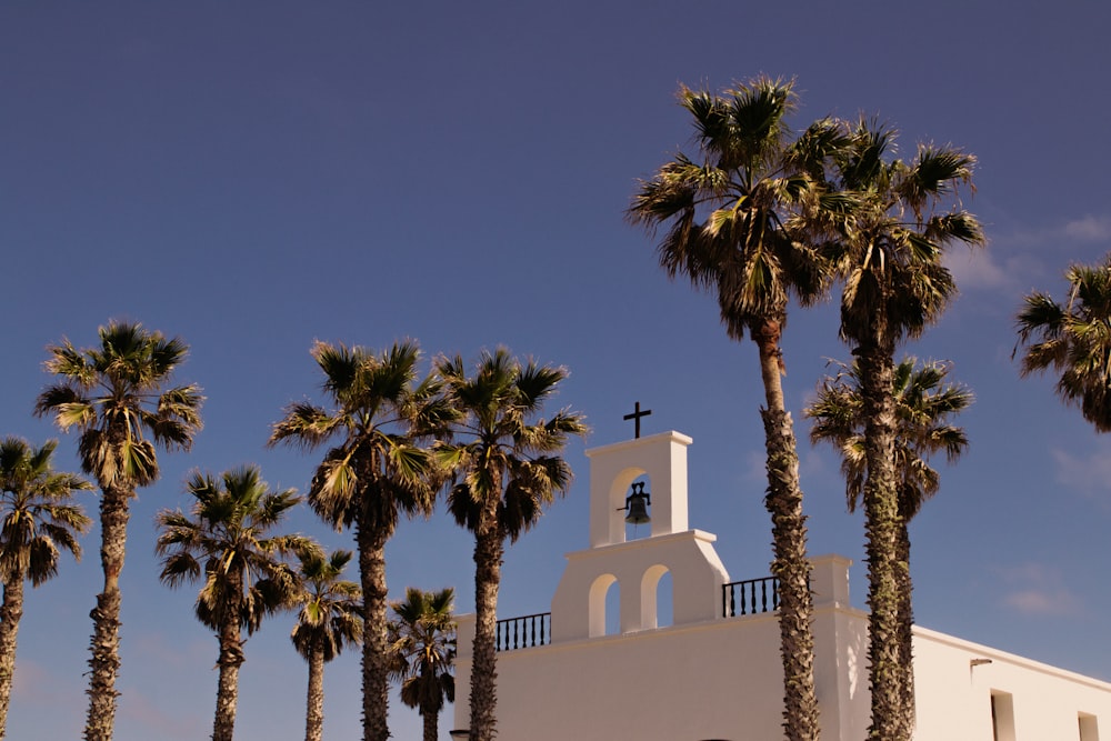 a church with a bell tower surrounded by palm trees