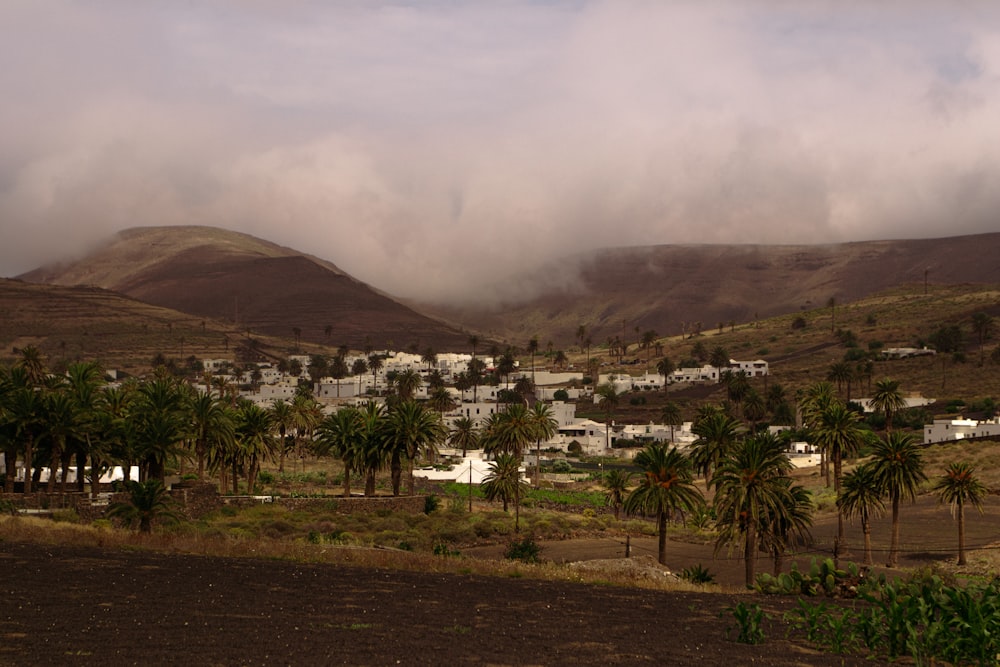 a view of a town with a mountain in the background