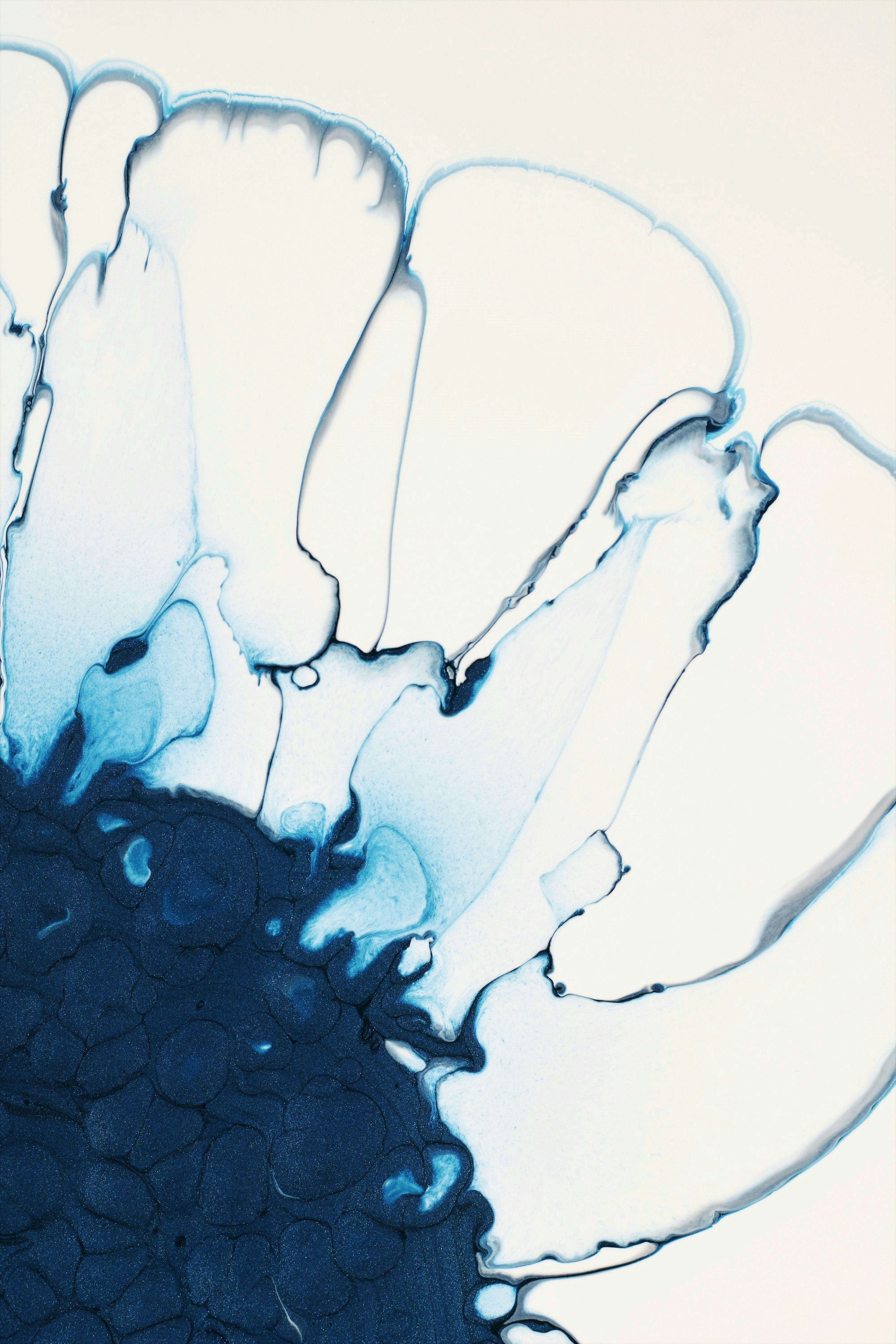 Photo by susan_wilkinson