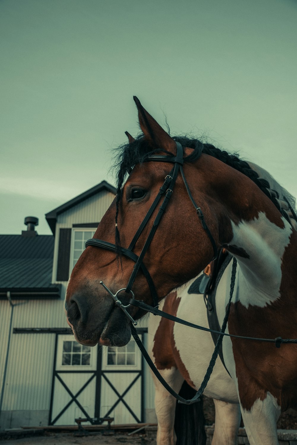 a brown and white horse standing in front of a barn