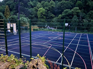 A well-maintained multi-sport field with markings for basketball and volleyball, surrounded by green trees.