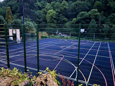 A well-maintained multi-sport field with markings for basketball and volleyball, surrounded by green trees.