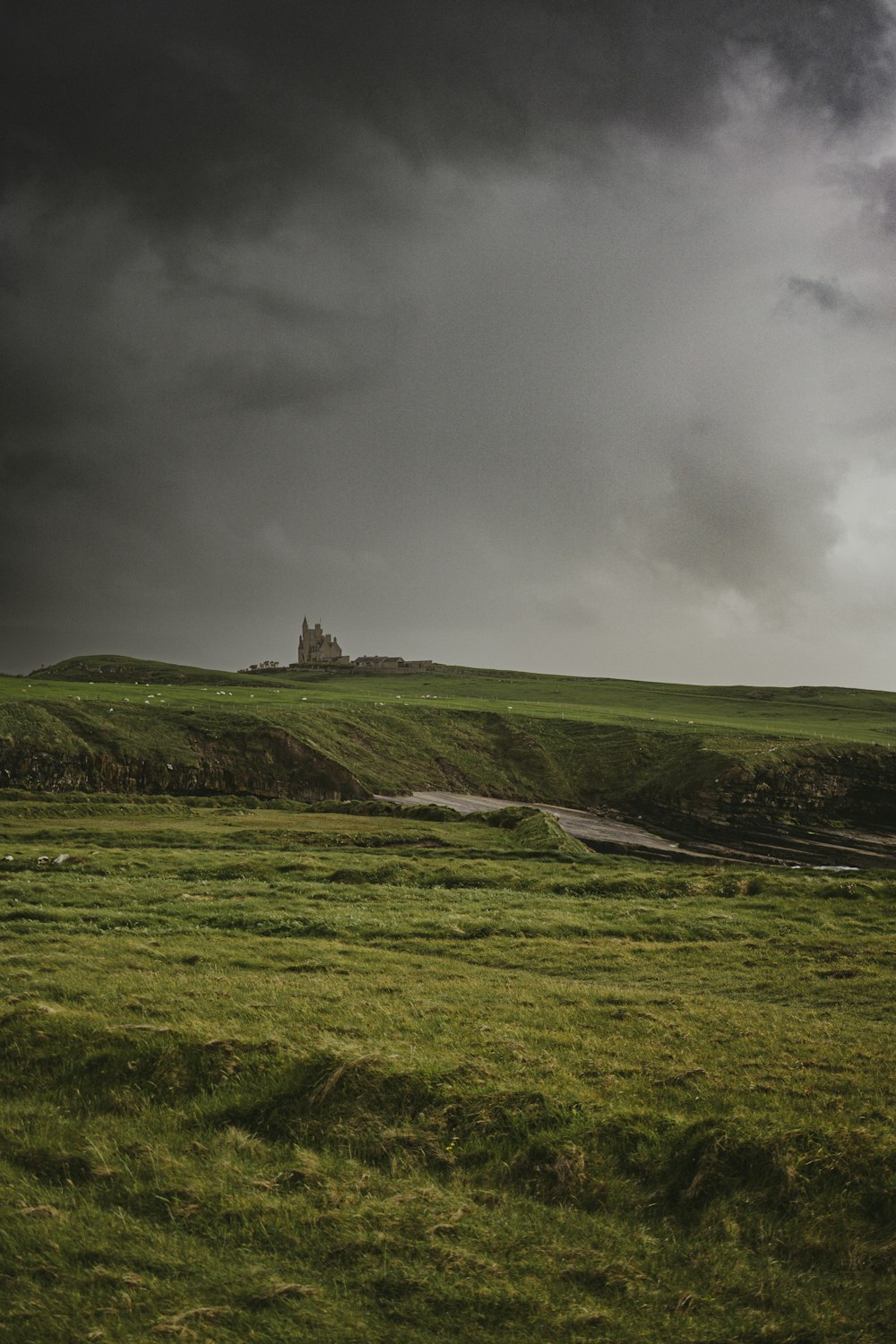 a lone sheep standing in a field under a cloudy sky