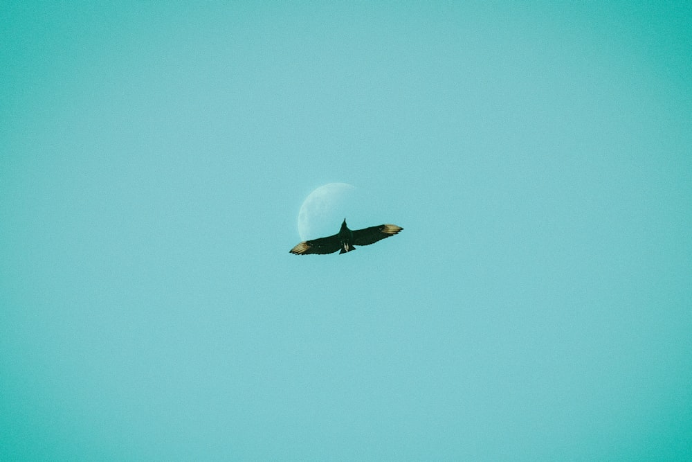 a jet flying through a blue sky with the moon in the background