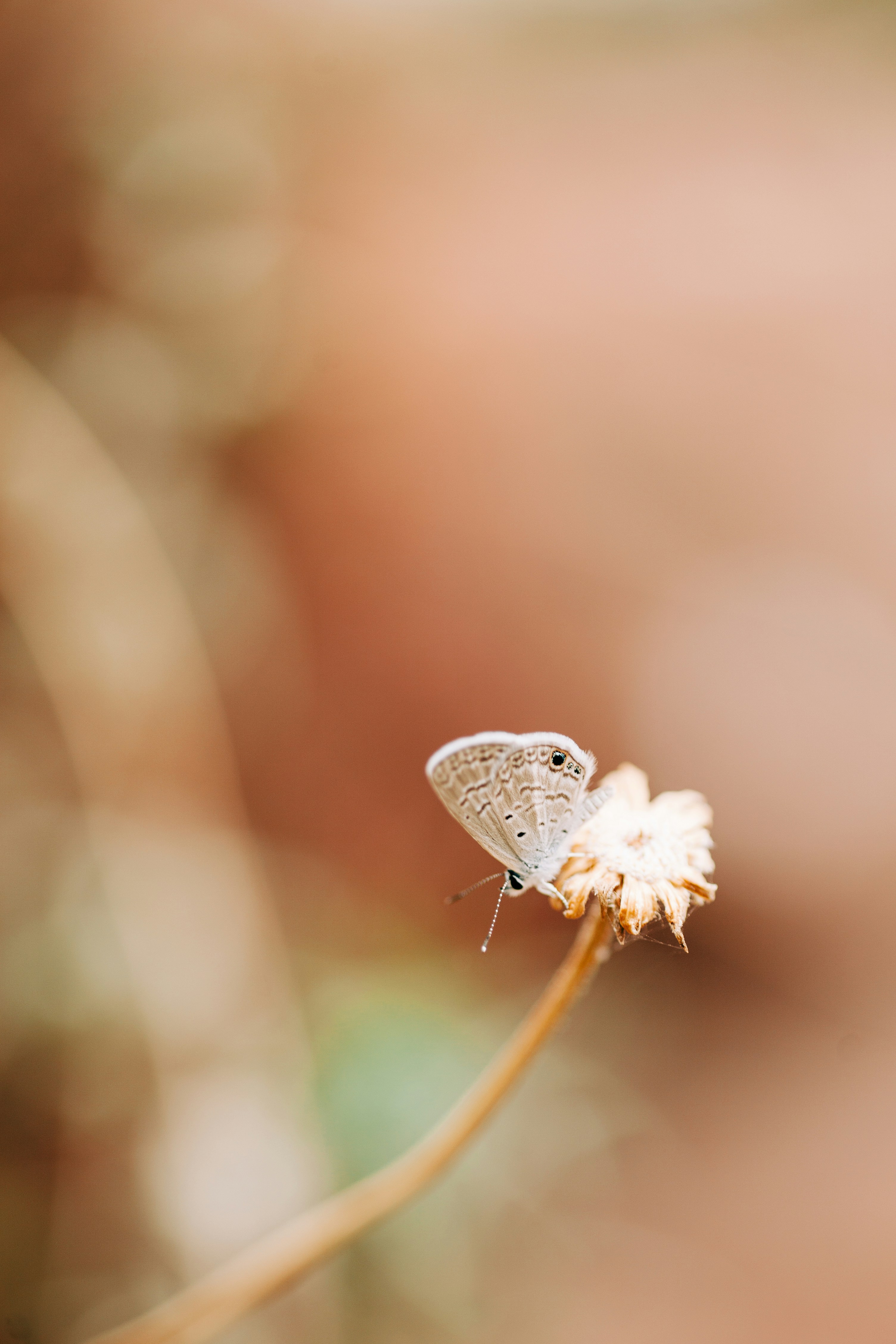 Photo by heathergill