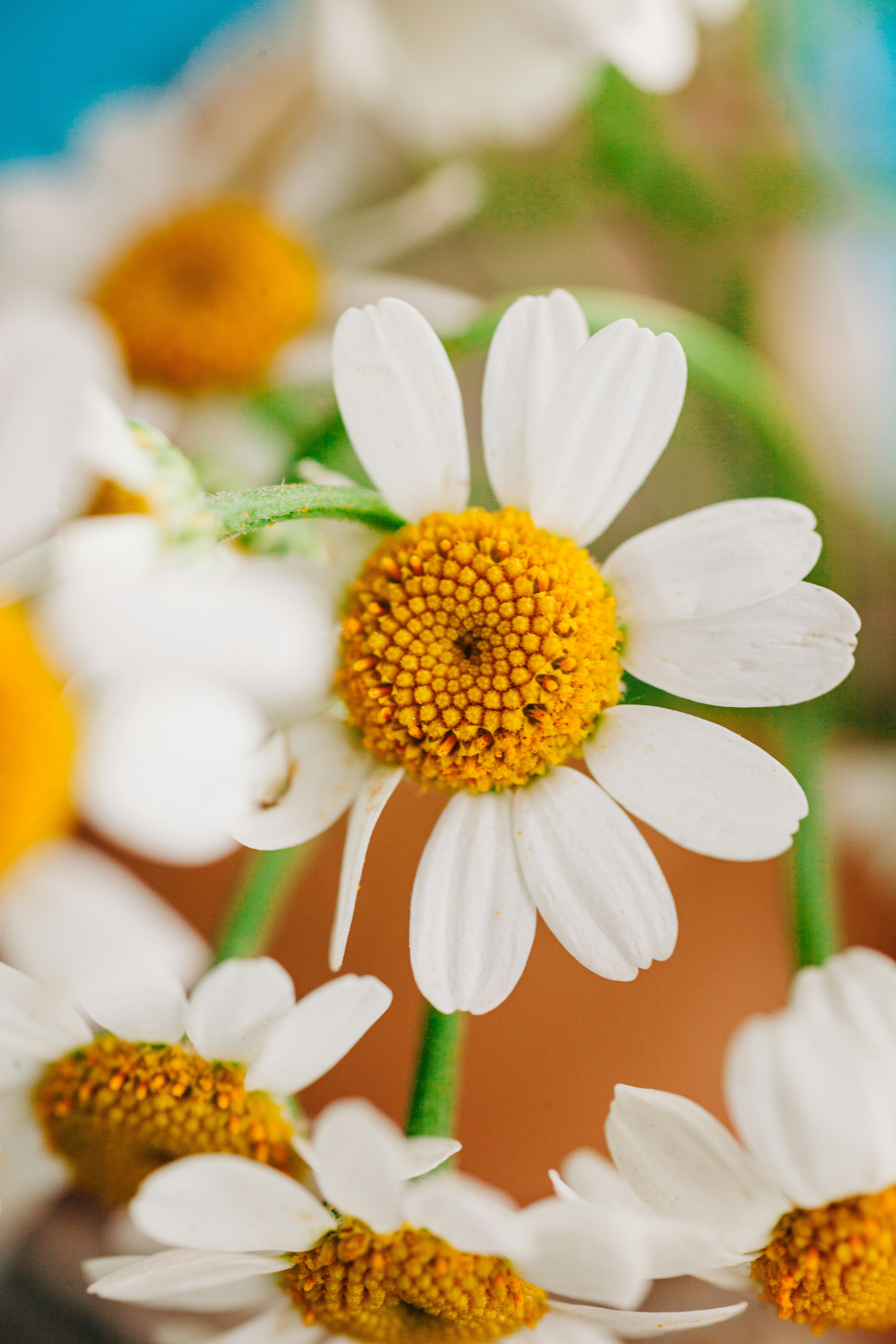 Photo by heathergill