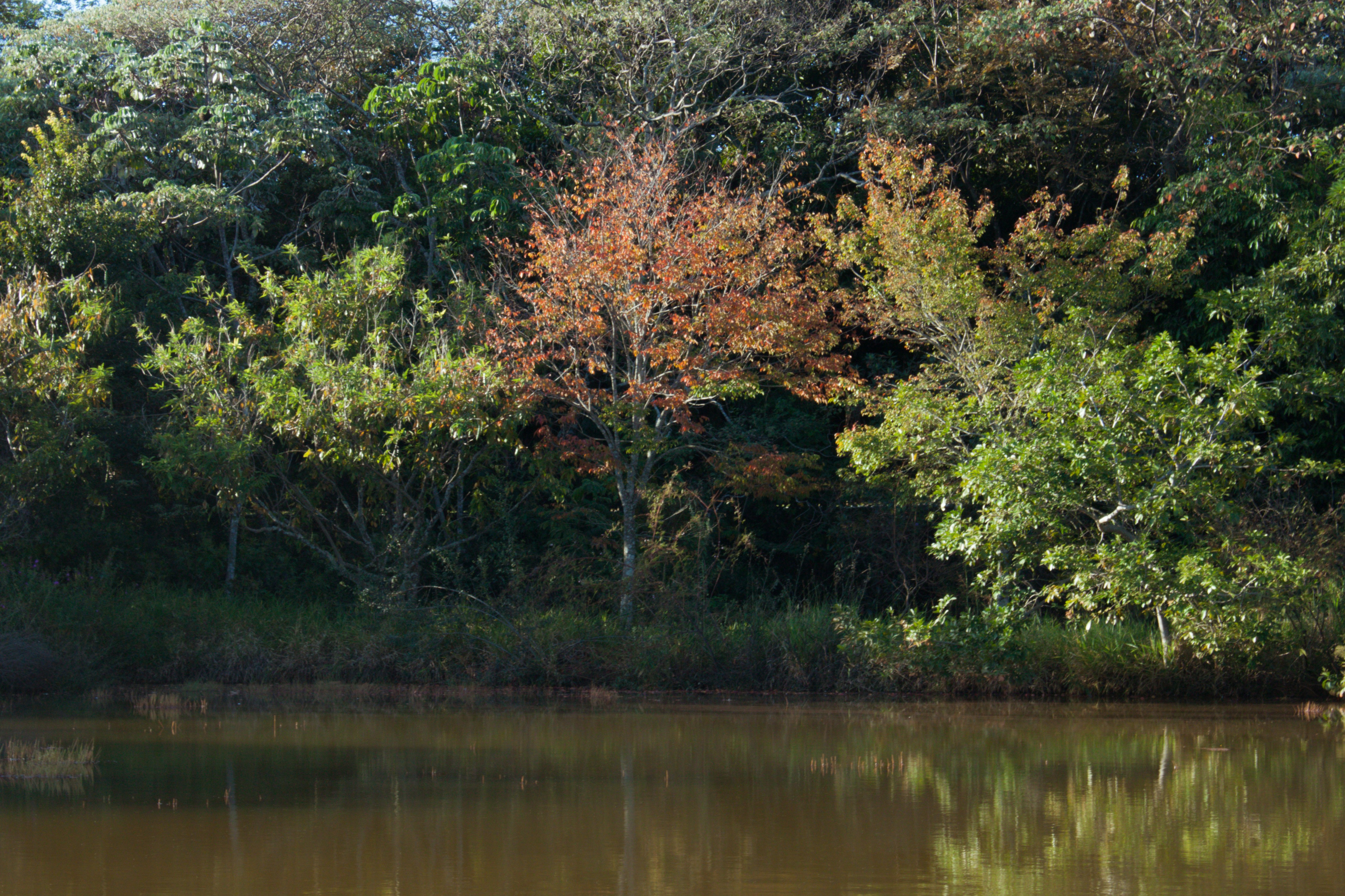 Photo by felipemelquearts