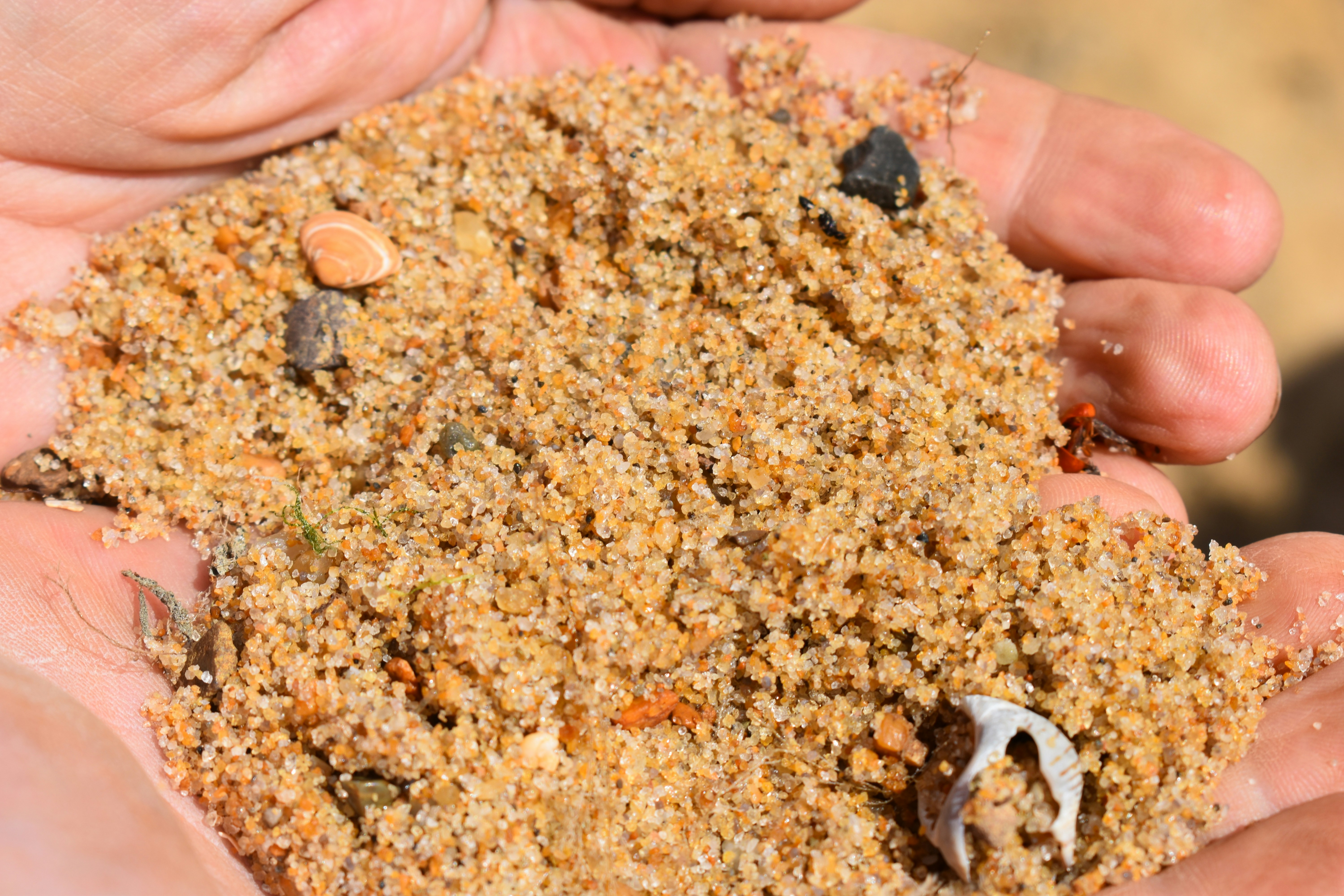 a person holding sand in their hands
