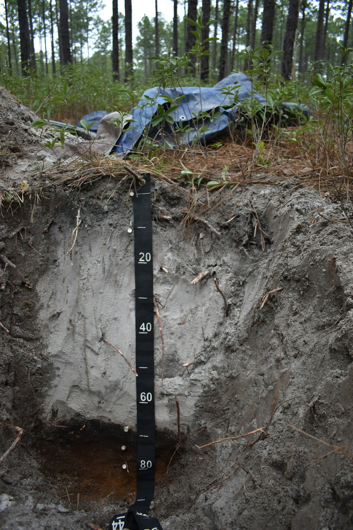 Soil profile exposed in a trial pit with a measurement scale showing soil horizons and strata depths, as logged to BS 5930