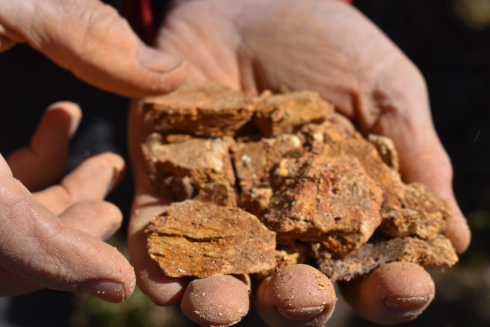 a person holding a handful of rocks in their hands