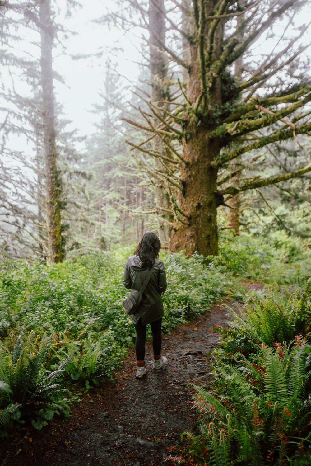 a person standing on a path in the woods