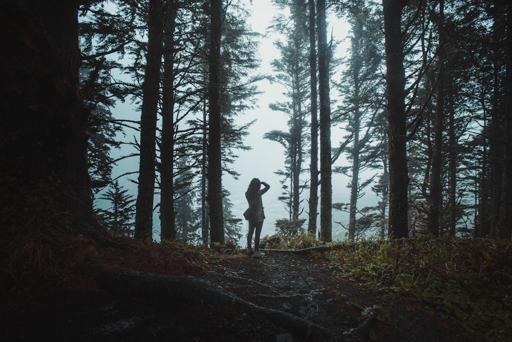 una persona in piedi nel mezzo di una foresta