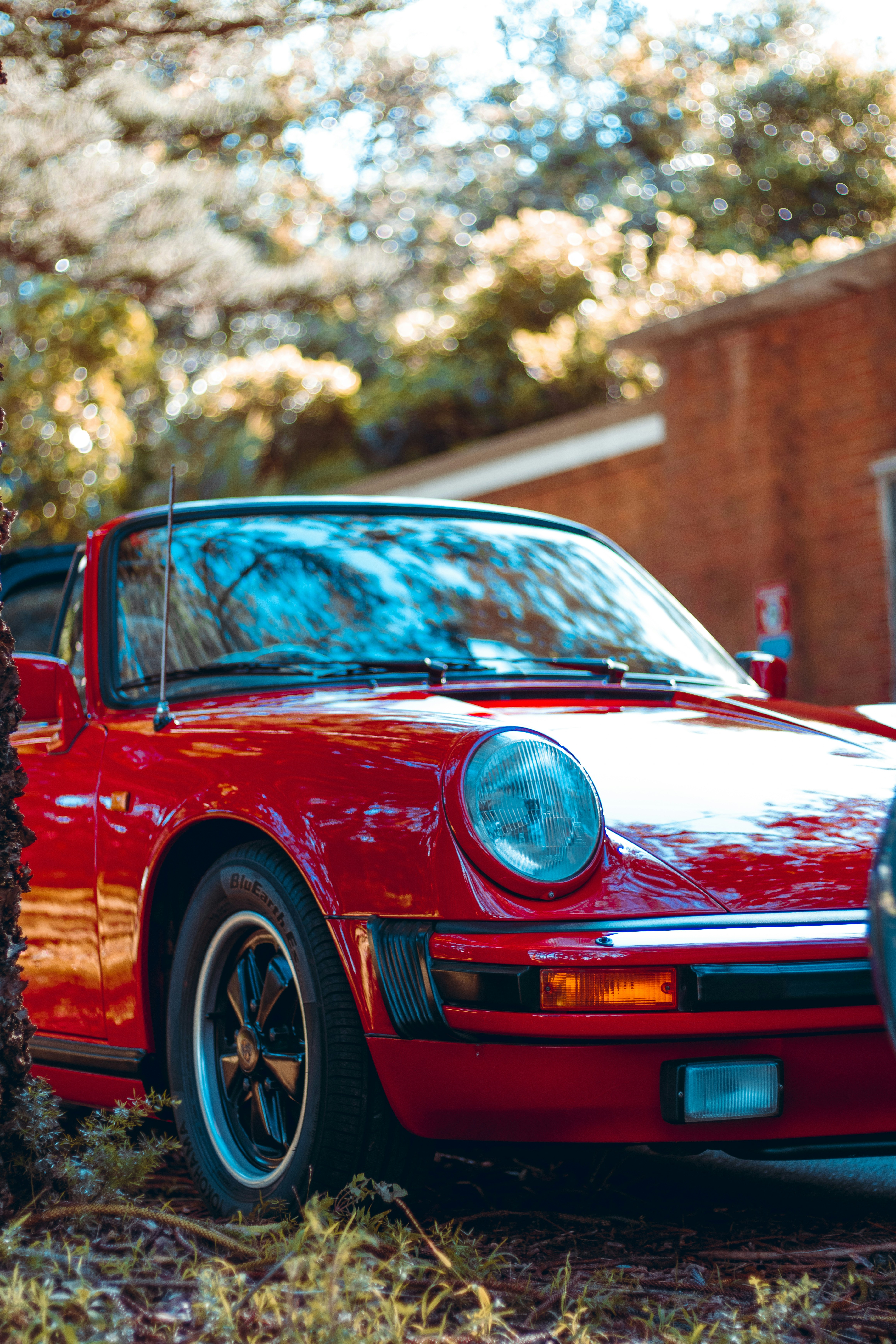 Photo by dynamite_luke