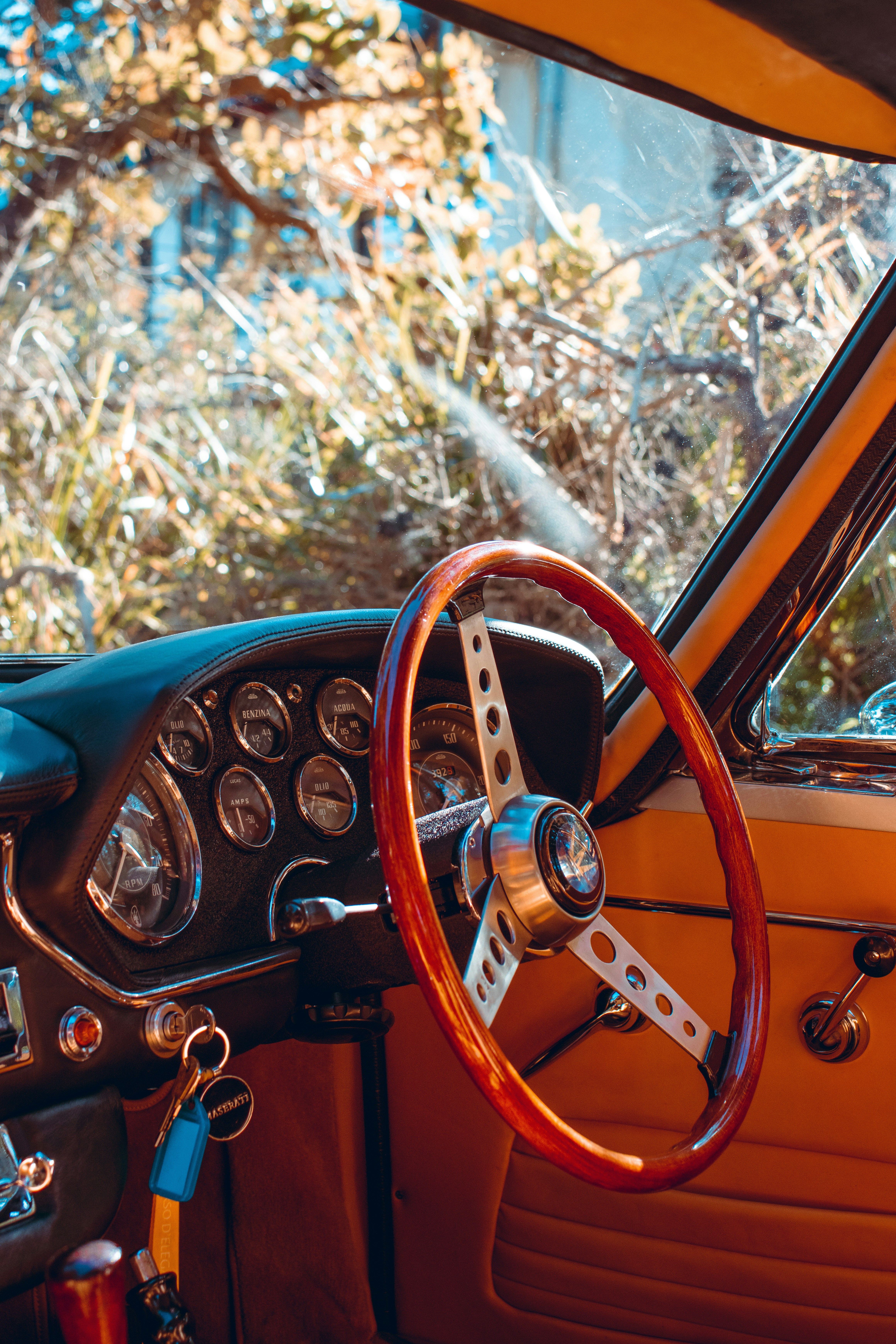 Photo by dynamite_luke