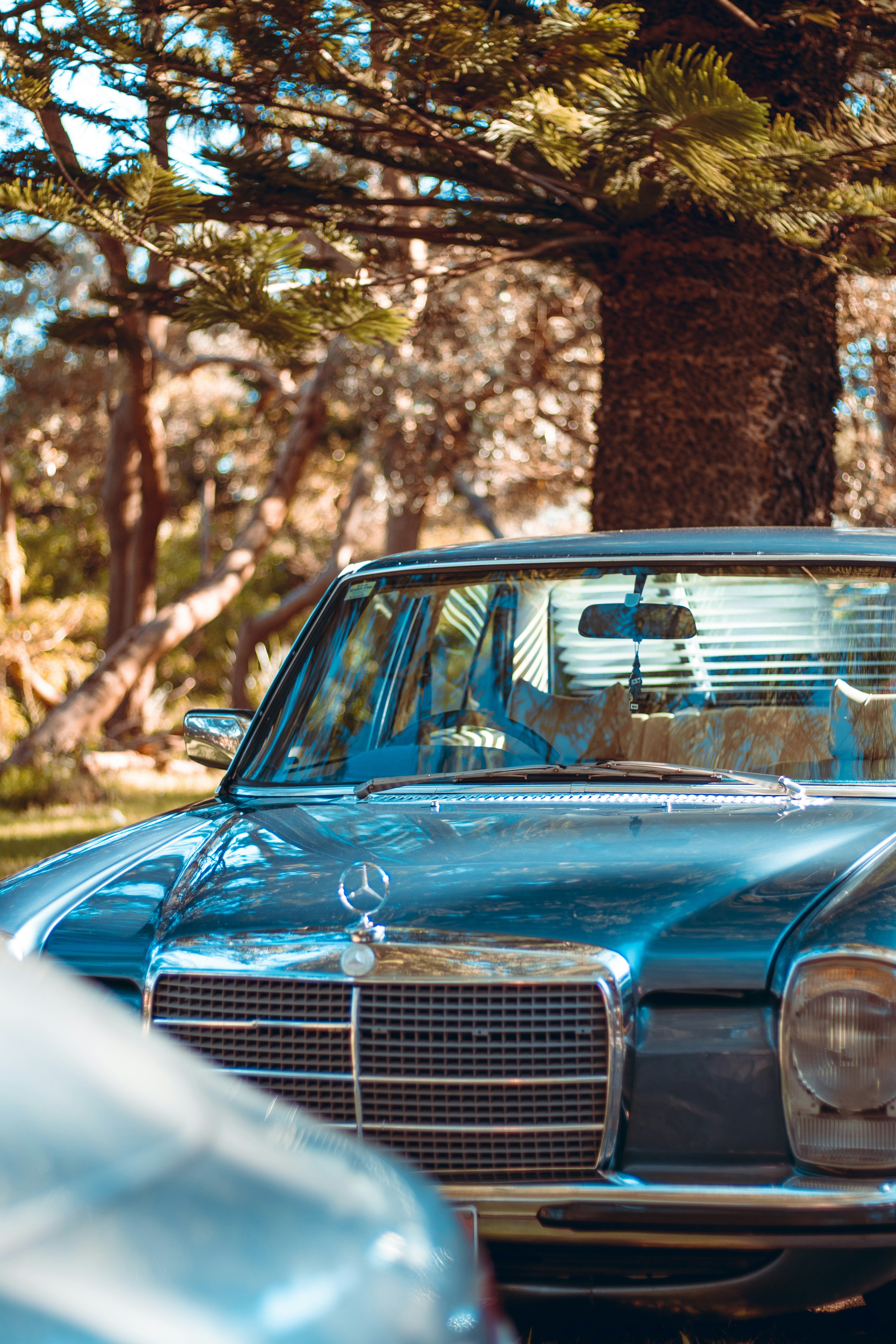 Photo by dynamite_luke