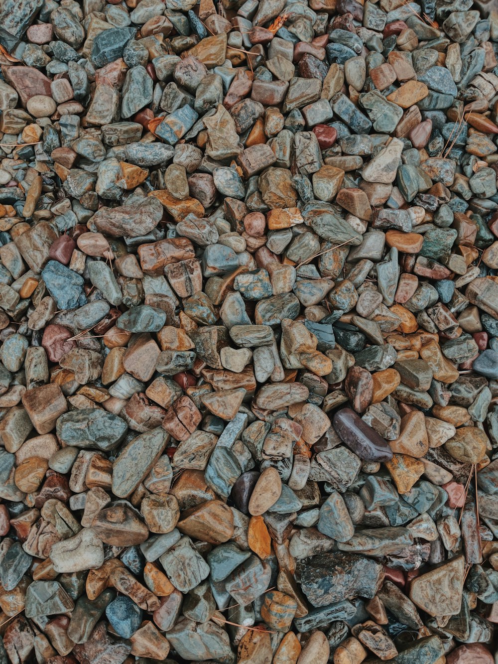 a close up of a pile of rocks