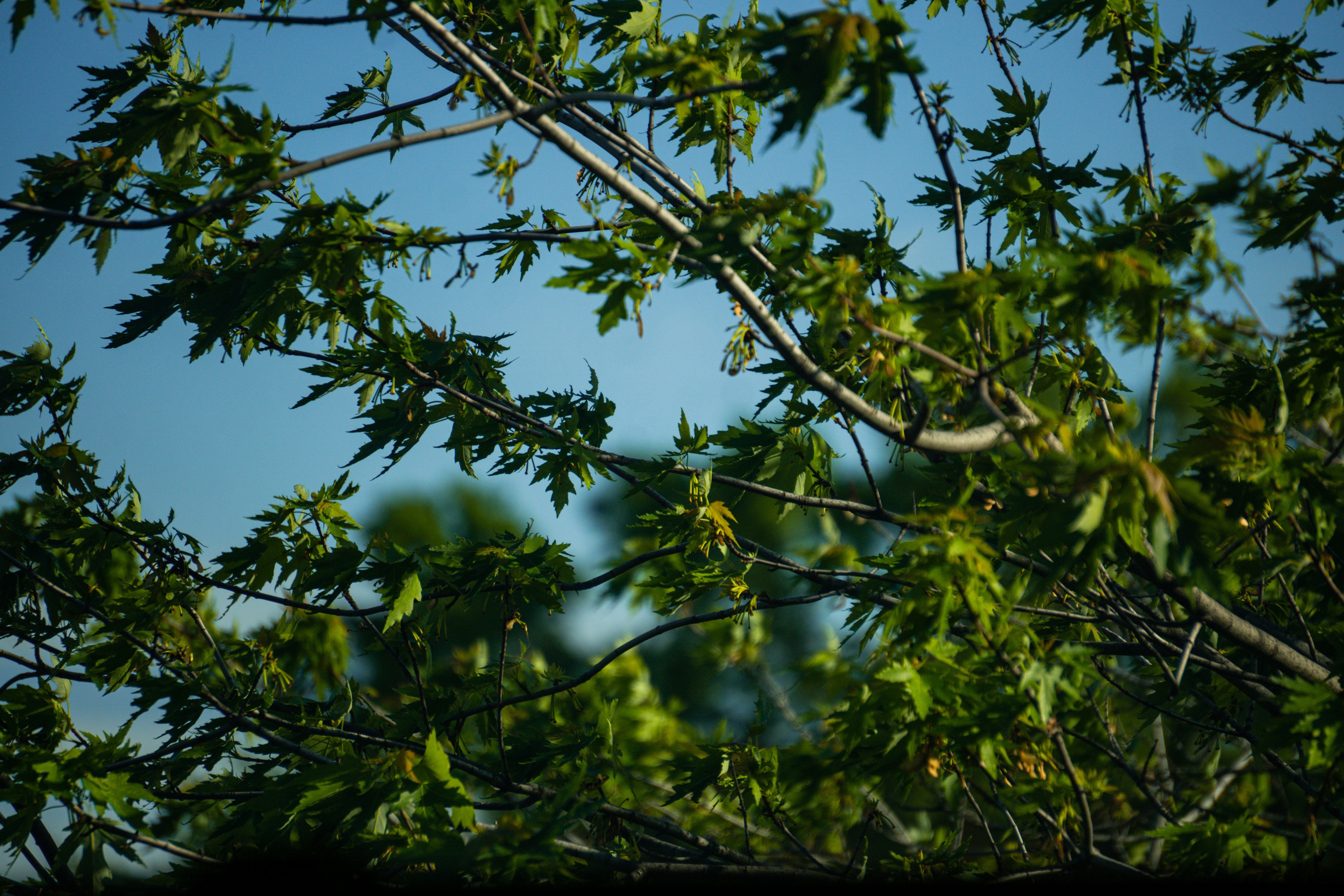 Photo by leoheisenberg