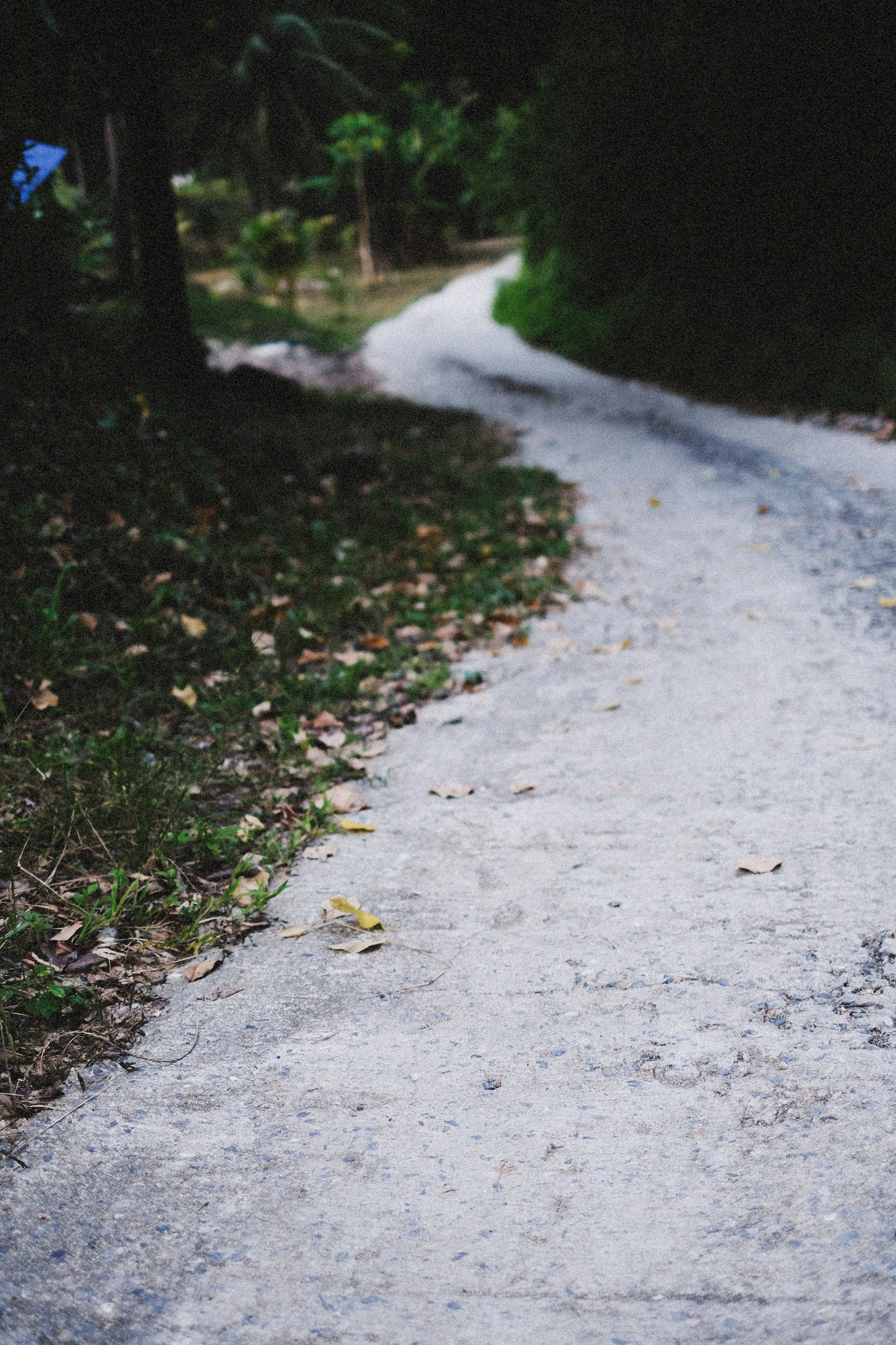 Photo by alexeydemidov